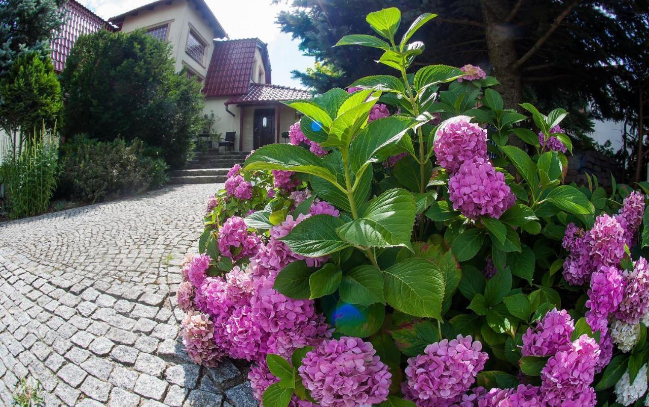 Villa Jasmin Zielona Góra Esterno foto